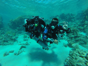 _GOPR0870