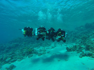_GOPR0877