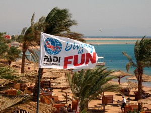 IMG_1799