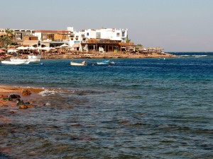 IMG_1880