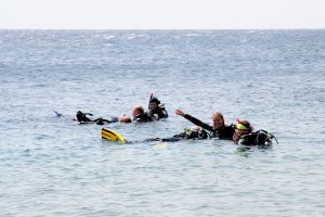 IMG_3187