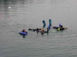 ie open water 20