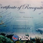 Certificate-Joanna
